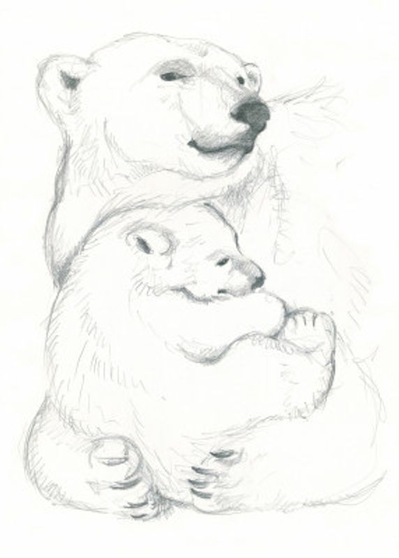 Polar Bear and Cub Drawing