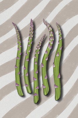 Asparagus