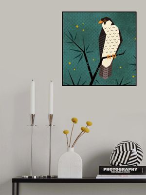 Bird Series   Geometry Falcon