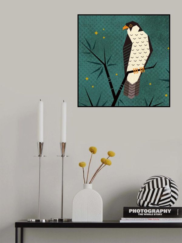 Bird Series   Geometry Falcon