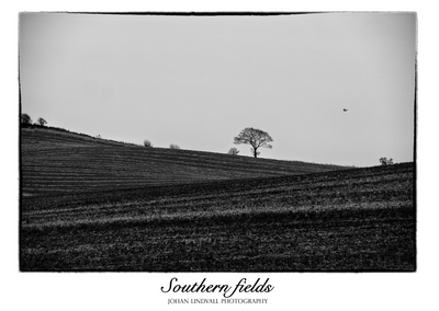 Southern fields - Johan Lindvall