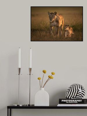 Mom lioness with cub