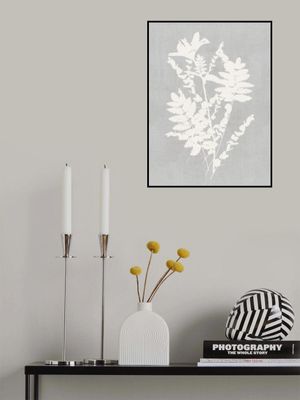 Botanical Illustration 5