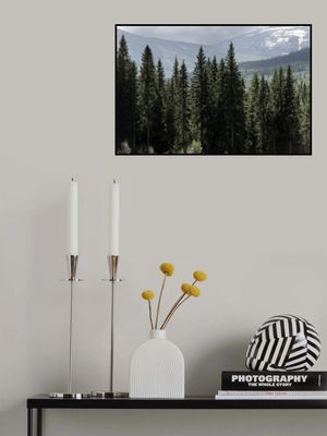 Woods and Mountains 1