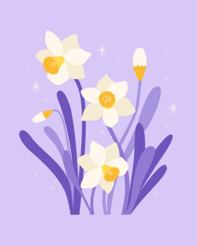 Narcissus Stars - Daffodil Light