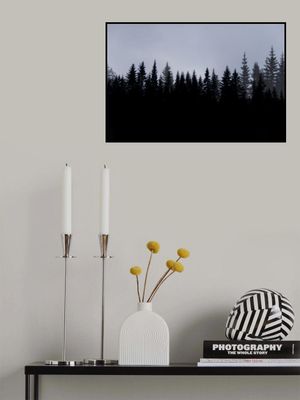 Mystical Forest Scene 3