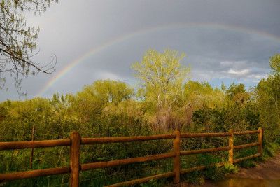 Only Rainbows After Rain