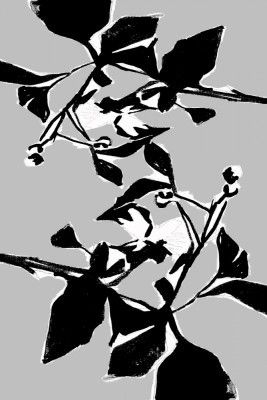 Black Floral Silhouette 1