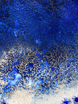 Sunlit Reef Set 2 Upscaled Cgi 13287w Copy 2