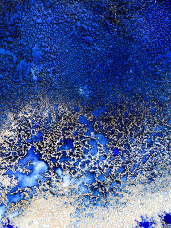 Sunlit Reef Set 2 Upscaled Cgi 13287w Copy 2