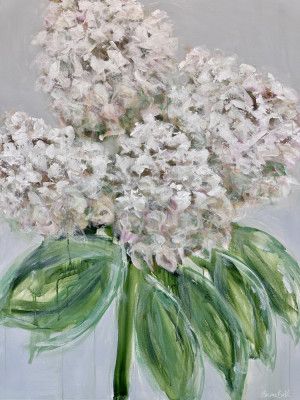 White Hydrangea Bloom