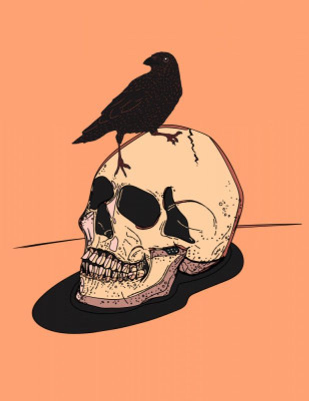 Skull And Raven