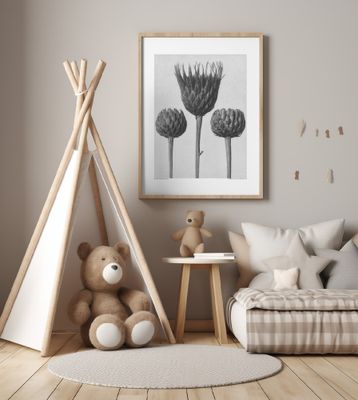 Serratula Nudicaulis