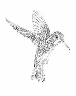Hummingbird