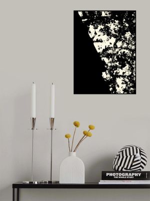 Striking Black and White Texture