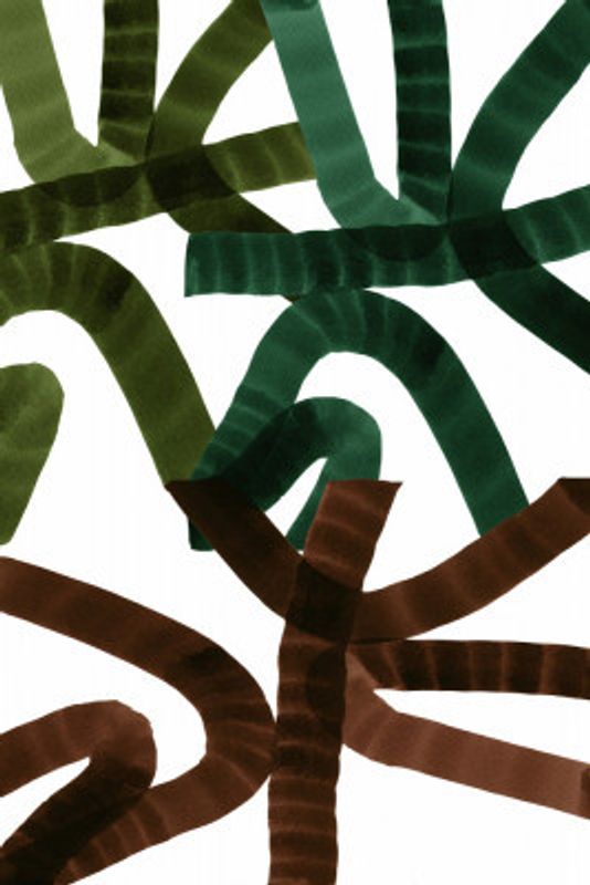 Intertwining Lines On A White Background