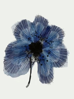 Blue Flower 2