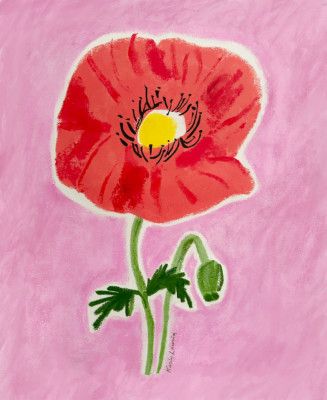 Big Red Poppy