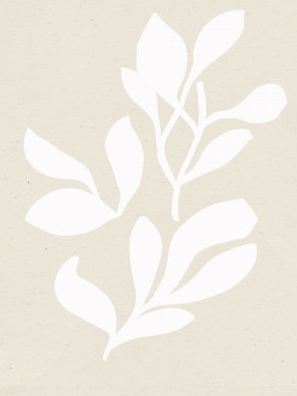 Minimal Leaf Silhouettes