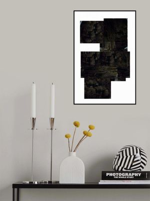 Shadow and Light Composition