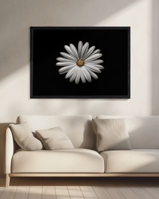Gerbera