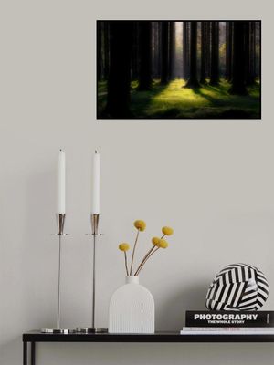 Trees are always a relief