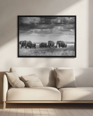 Elephant family