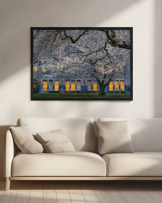 Morning at University of Washington