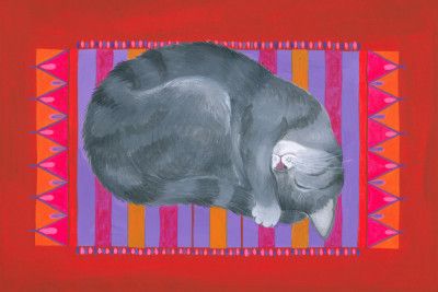 Dreaming Cat On Mat