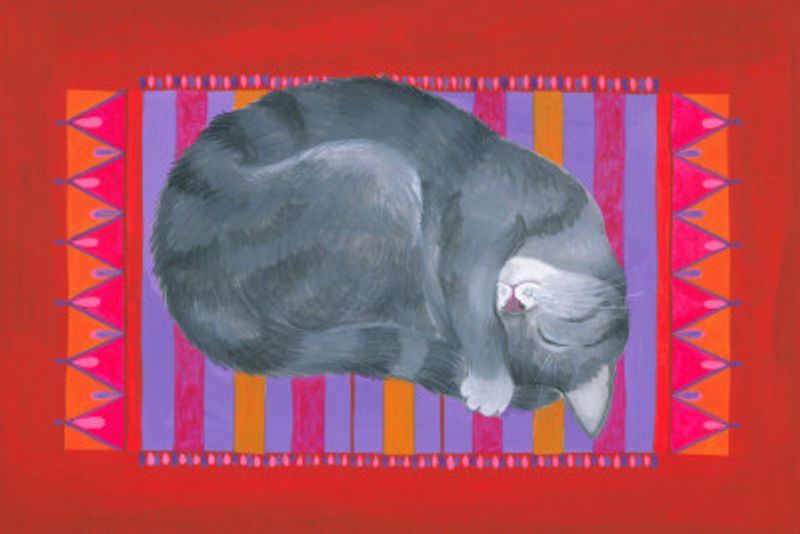 Dreaming Cat On Mat