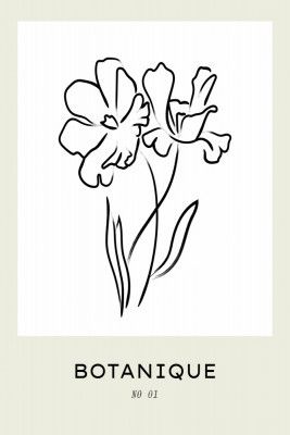 Botaniqueno(flowers)