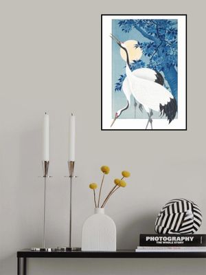 Cranes In a Moonlit Night