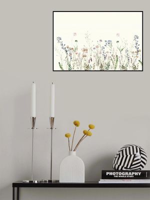 Wildflower Meadow Summer Creme