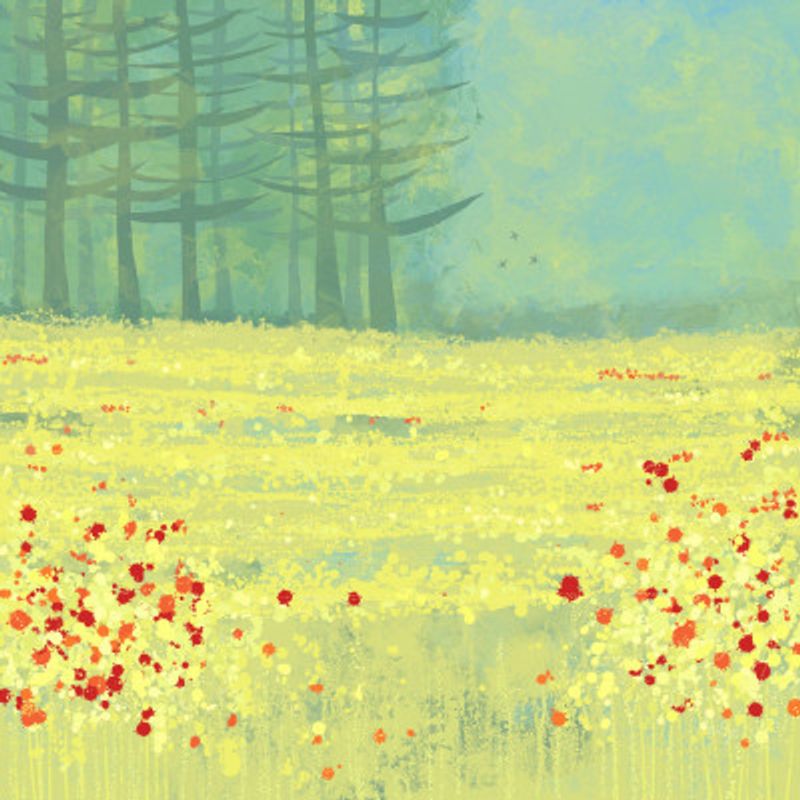 Meadow Near Perigueux France