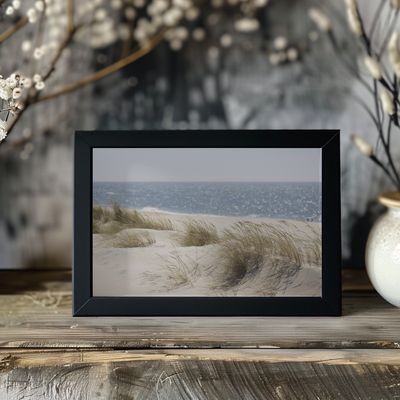 Serene Beach Dunes