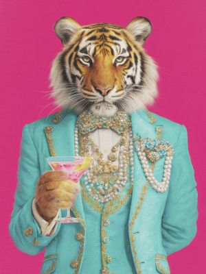 Cocktail Tiger