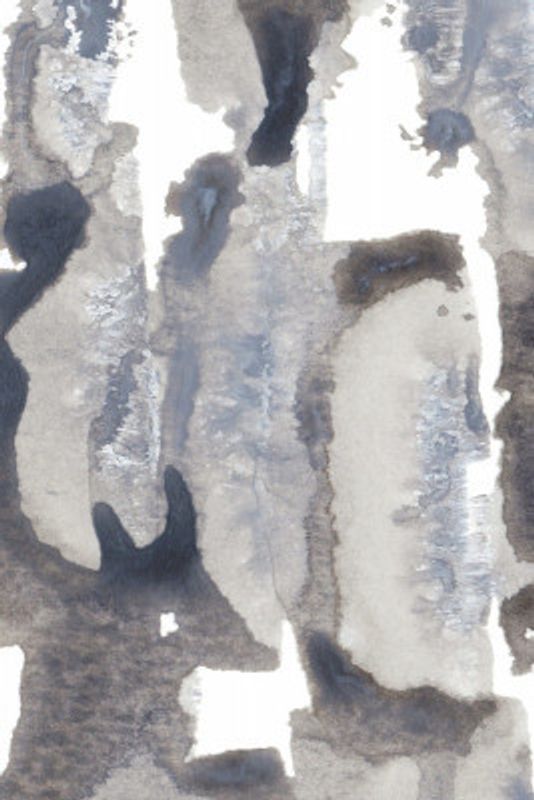 Monochromatic Palette Of Grays And Whites