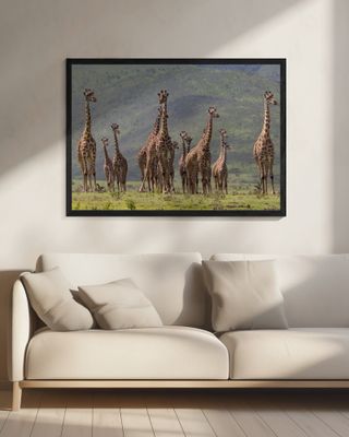 Giraff family
