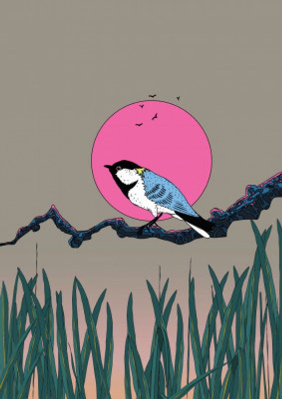 Japanese Bird In the Morning