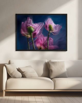 Poppies by the wayside