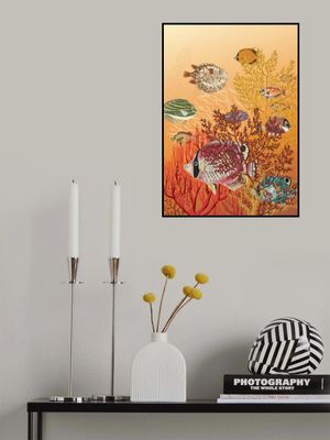 coral reef deep silence orange