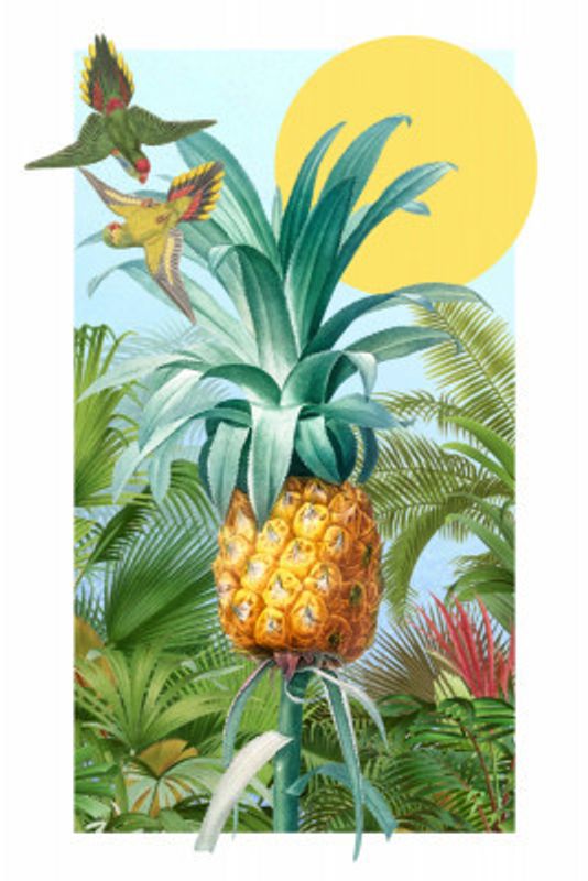 A Tropical Pineapple Collage