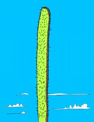 Tall Cactus Under a Sky