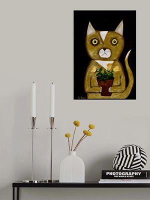 Pot Plant Cat black background