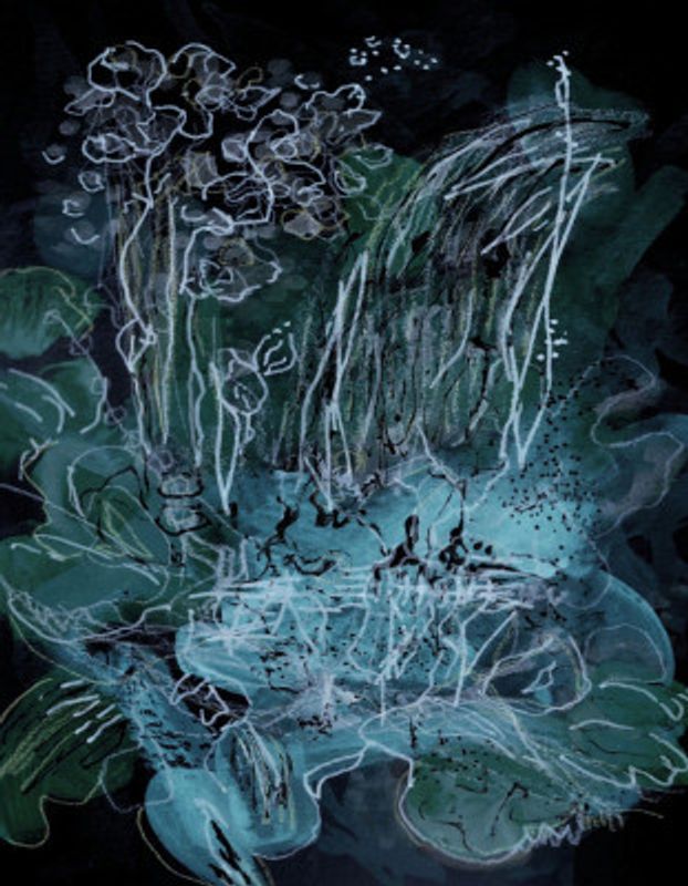 Orchid Bloom Midnight Blue