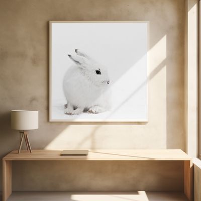 Snowy Hare Serenity