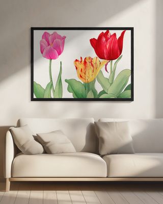 Tulips No.2