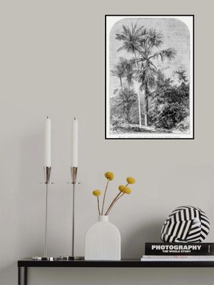 Vintage Palm Tree Drawing Iv