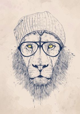 Cool lion