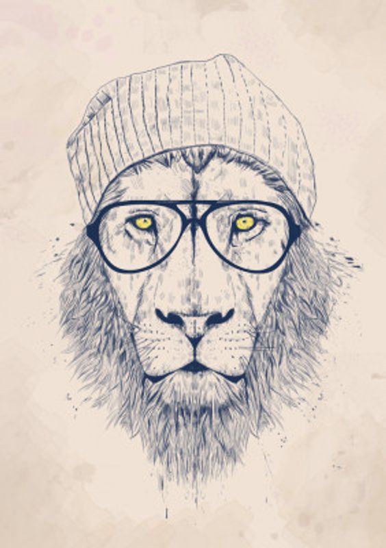 Cool lion